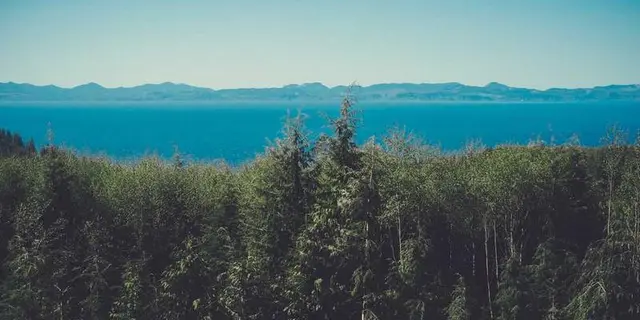 Introduction to AI and Machine Learning