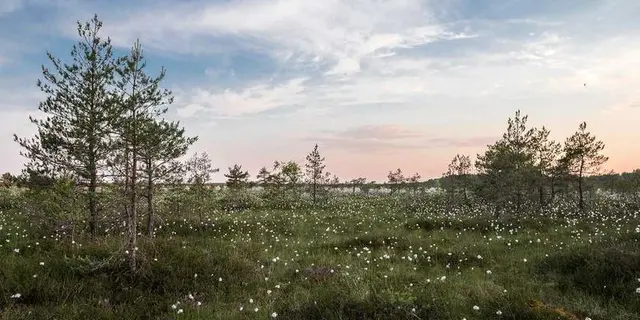 The Rise of Quantum Computing