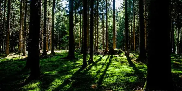 Edge Computing: The Future of Data Processing